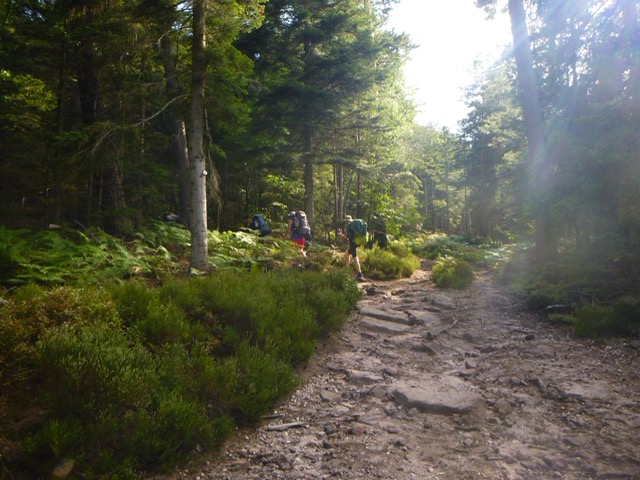 Pfadfinder_PP_2025_image8