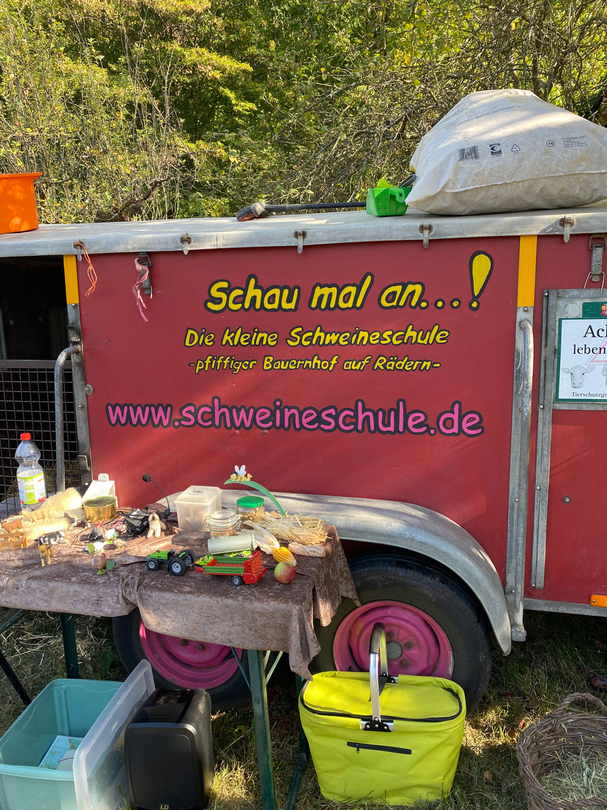 Schweineschule_IMG_7420