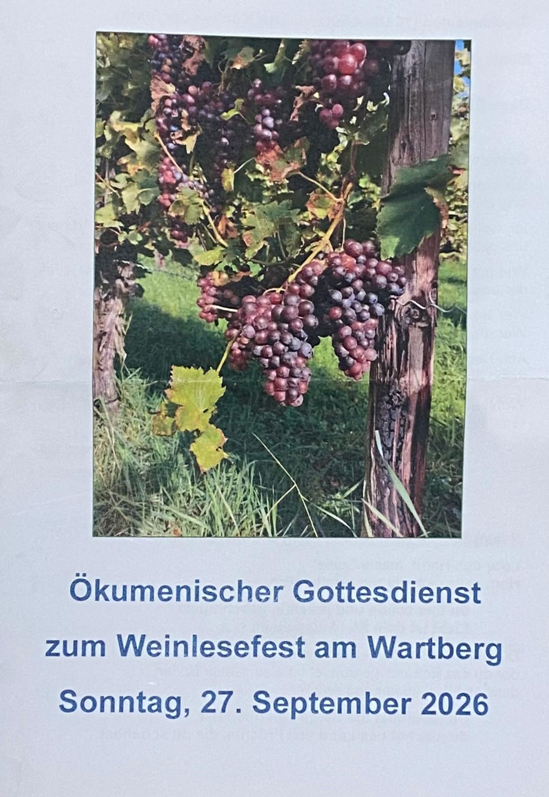 Weinlesefest_PP_26_IMG_7411
